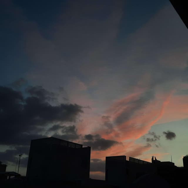 Release Cover dottedpath - $%