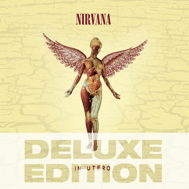 Release Cover Nirvana - In Utero (Deluxe Edition)