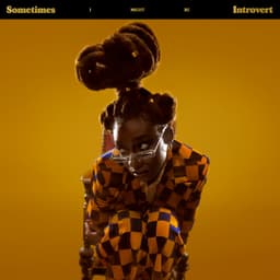 Release Cover Little Simz - Sometimes I Might Be Introvert