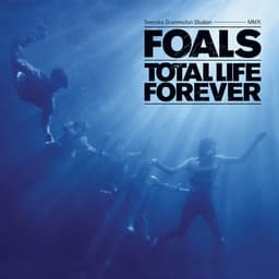 Release Cover Foals - Total Life Forever