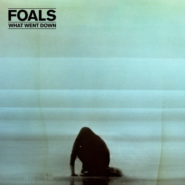 Release Cover Foals - What Went Down