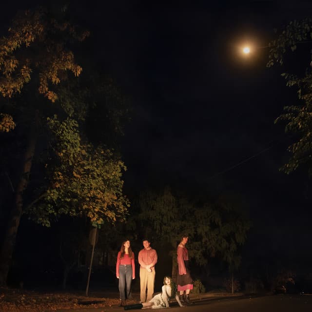 Release Cover The Ophelias - Spring Grove