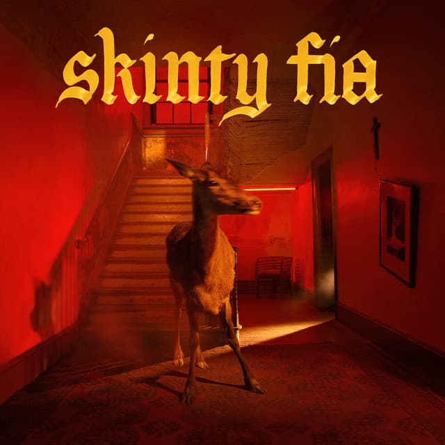 Release Cover Fontaines D.C. - Skinty Fia