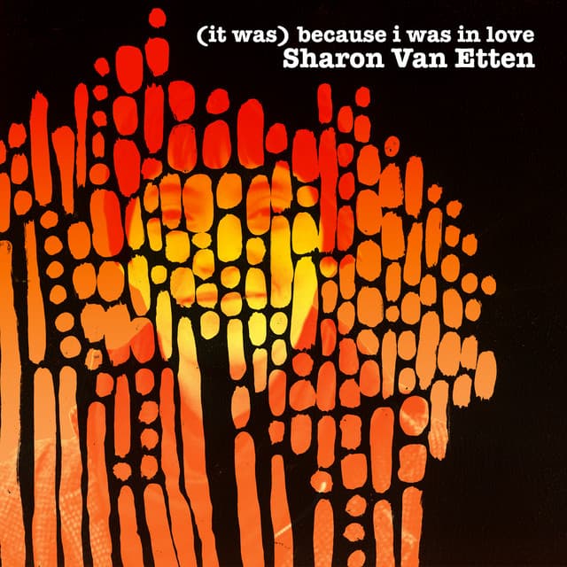 Release Cover Sharon Van Etten - (It Was) Because I Was in Love (Deluxe Reissue)