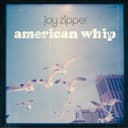 Cover of American Whip by Joy Zipper