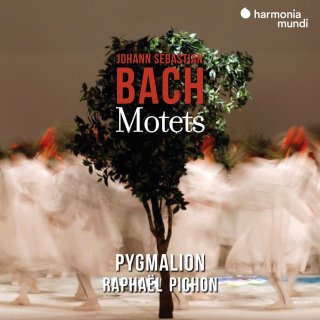 Release Cover Johann Sebastian Bach, Ensemble Pygmalion, Raphael Pichon - Johann Sebastian Bach: Motets