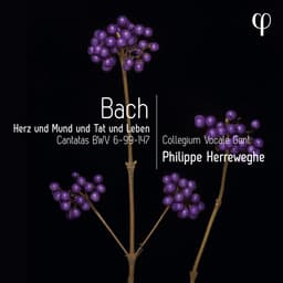 Release Cover Johann Sebastian Bach, Collegium Vocale Gent, Philippe Herreweghe - Herz und Mund und Tat und Leben - Bach: Cantatas BWV 6-99-147