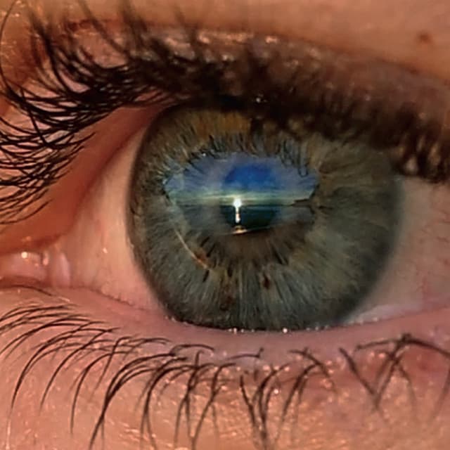 Release Cover SOHN - Albadas (Dawn Songs)