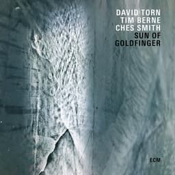 Release Cover David Torn, Tim Berne, Ches Smith - Sun Of Goldfinger