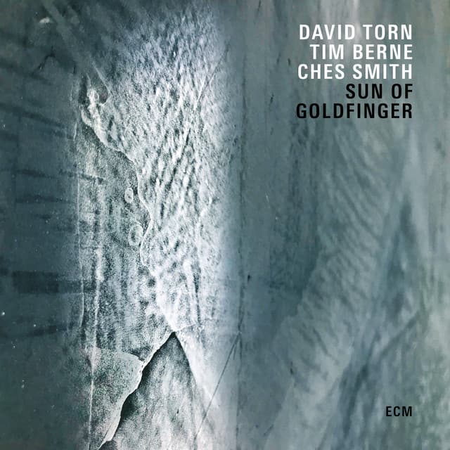 Release Cover David Torn, Tim Berne, Ches Smith - Sun Of Goldfinger