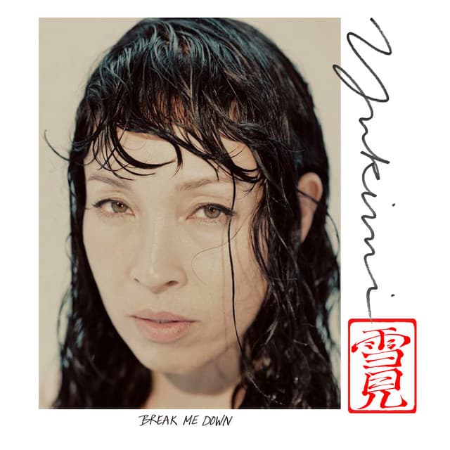 Release Cover Yukimi, Little Dragon - Break Me Down