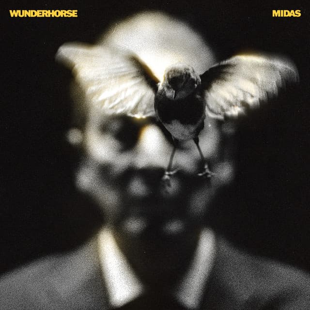 Release Cover Wunderhorse - Midas