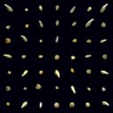 Release Cover clipping. - Visions of Bodies Being Burned