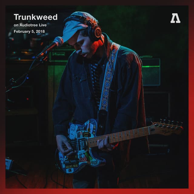 Release Cover Trunkweed, Audiotree - Trunkweed on Audiotree Live