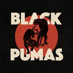 Release Cover Black Pumas - Black Pumas