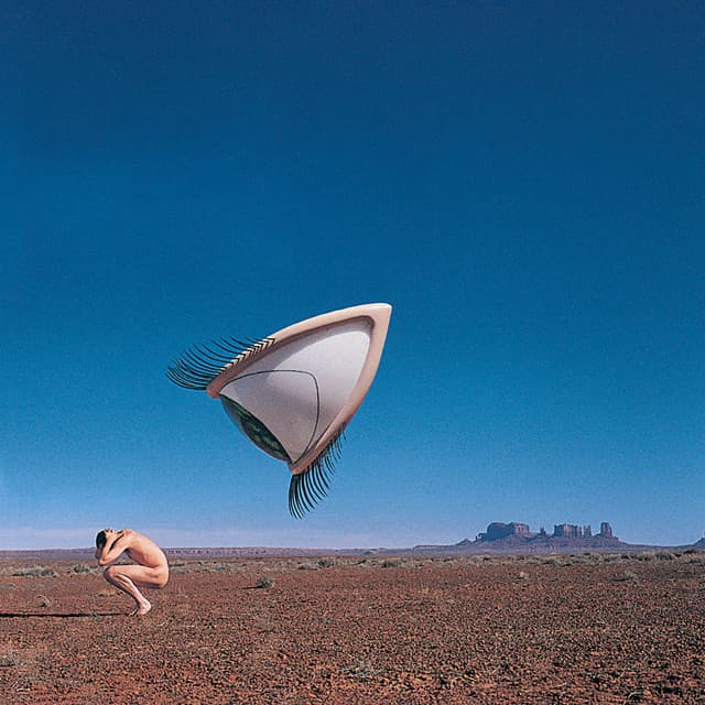 Release Cover The Cranberries - Bury The Hatchet