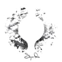 Release Cover Sigur Rós - ( )