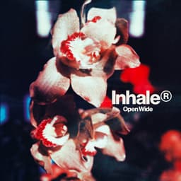 Release Cover Inhaler - Open Wide