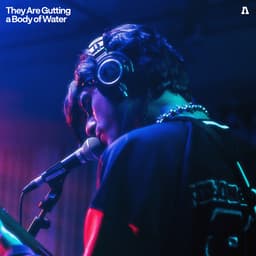 Release Cover They Are Gutting a Body of Water, Audiotree - They Are Gutting a Body of Water on Audiotree Live