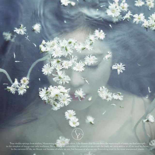 Release Cover IRENE - Like A Flower - The 1st Mini Album