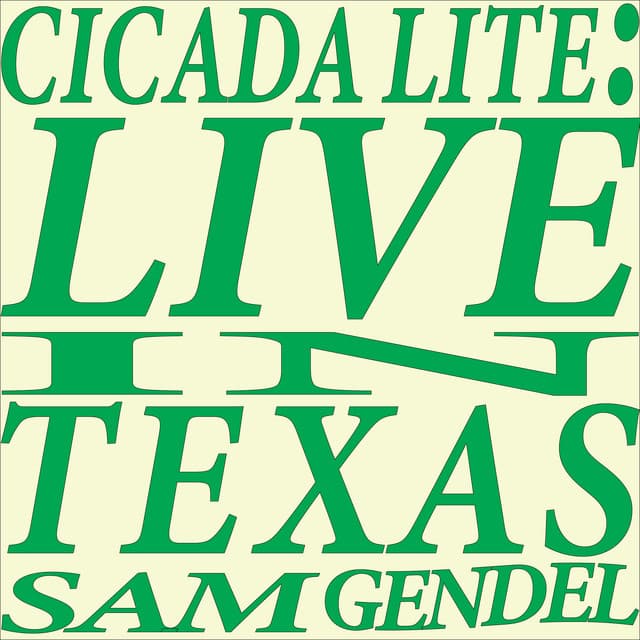 Release Cover Sam Gendel - Cicada Lite (Live in Texas)