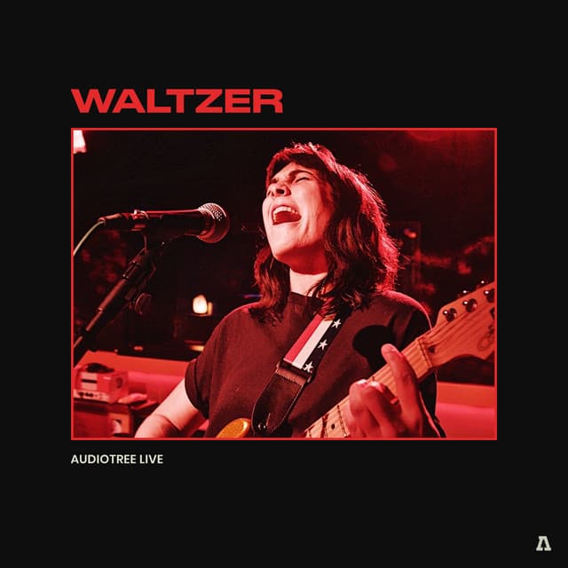 Release Cover Waltzer, Audiotree - Waltzer on Audiotree Live