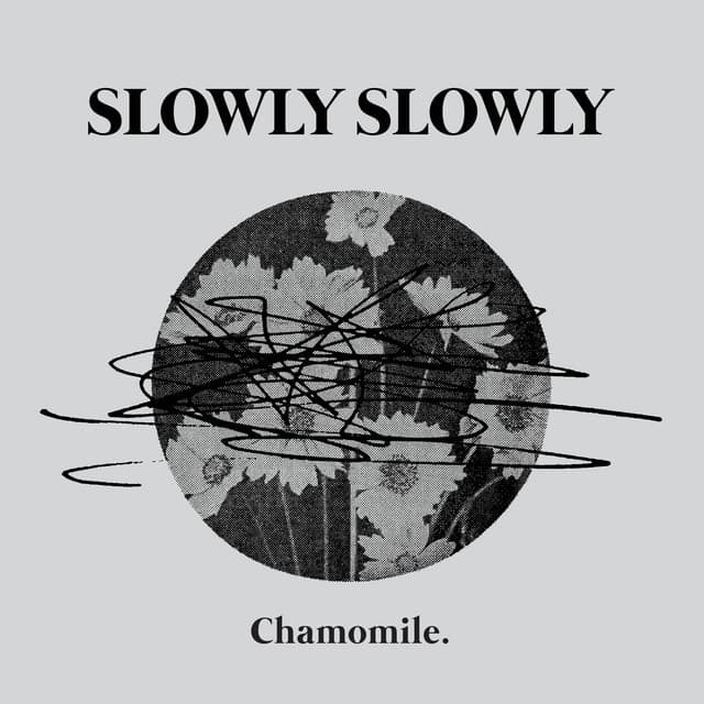 Release Cover Slowly Slowly - Chamomile