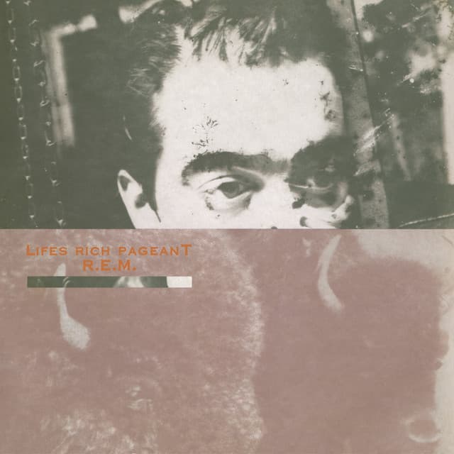 Release Cover R.E.M. - Lifes Rich Pageant (Deluxe Edition)