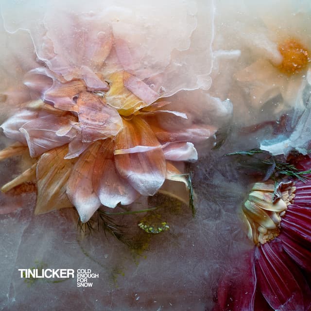 Release Cover Tinlicker - Cold Enough For Snow