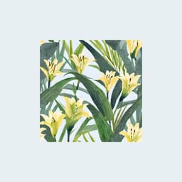 Release Cover Thomas Geelens - Maybe (Lovers Back to Friends)