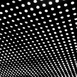 Release Cover Beach House - Bloom