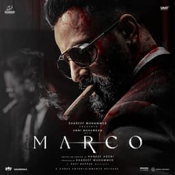 Release Cover Ravi Basrur, Saeed Abbas, Shaan Rahman - Marco (Original Motion Picture Soundtrack)