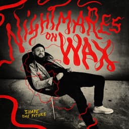 Release Cover Nightmares On Wax - Shape The Future