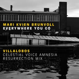 Release Cover Mari Kvien Brunvoll, Ricardo Villalobos - Everywhere You Go