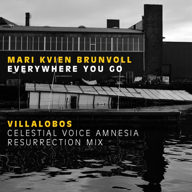 Release Cover Mari Kvien Brunvoll, Ricardo Villalobos - Everywhere You Go
