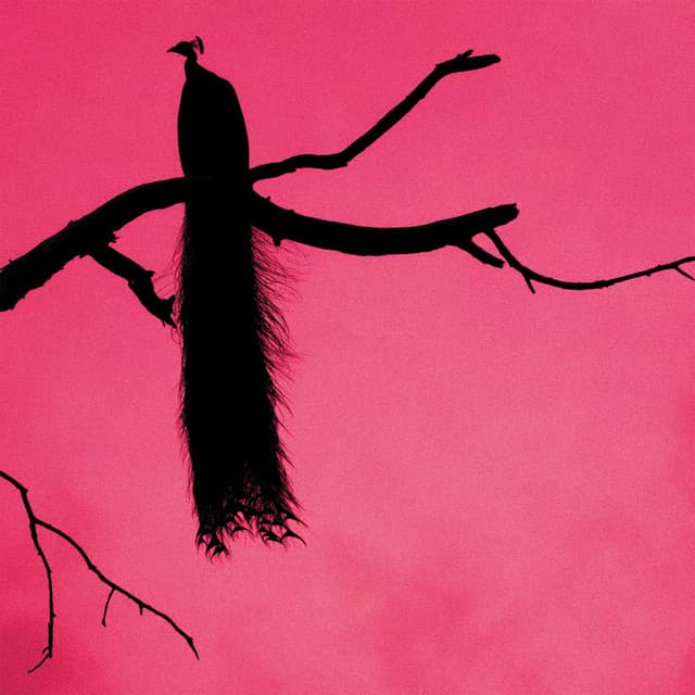 Release Cover KAGAMI Smile - Lifeless