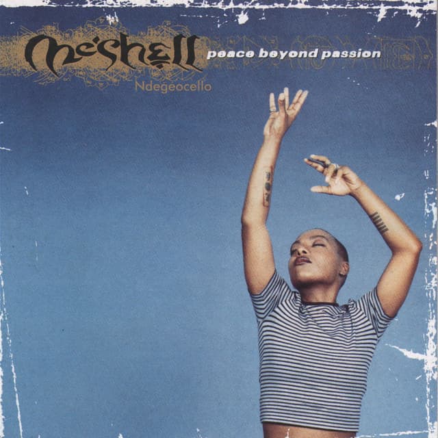 Release Cover Meshell Ndegeocello - Peace Beyond Passion