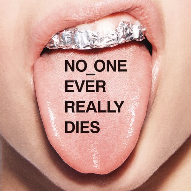 Release Cover N.E.R.D - NO ONE EVER REALLY DIES