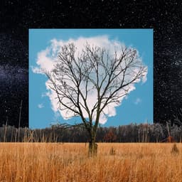 Release Cover Fink - Bloom Innocent