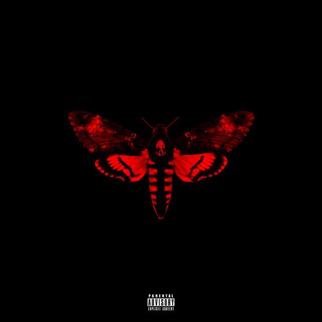 Release Cover Lil Wayne - I Am Not A Human Being II