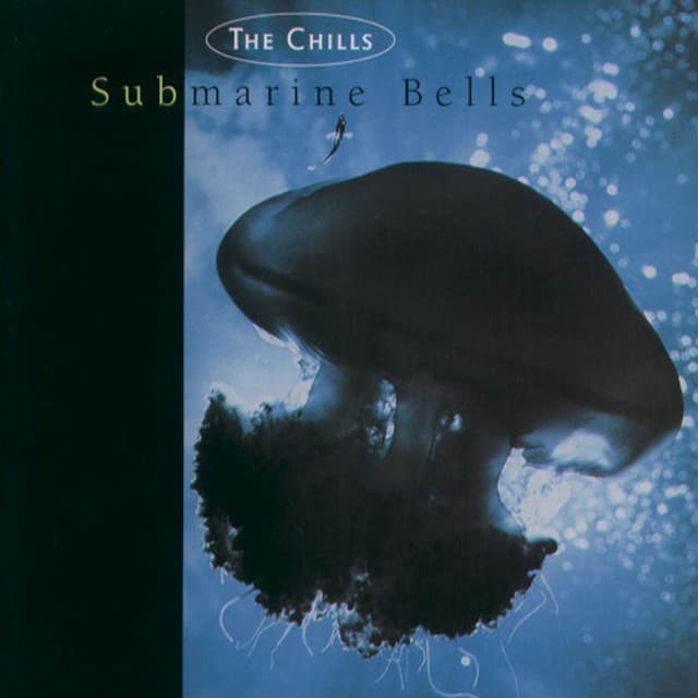 Release Cover The Chills - Submarine Bells