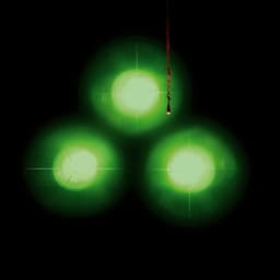 Release Cover Amon Tobin - Chaos Theory