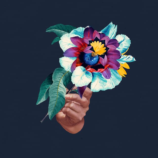 Release Cover Maribou State - Kingdoms In Colour Remixed