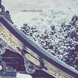 Release Cover Bvdub, Netherworld - Equilibrium