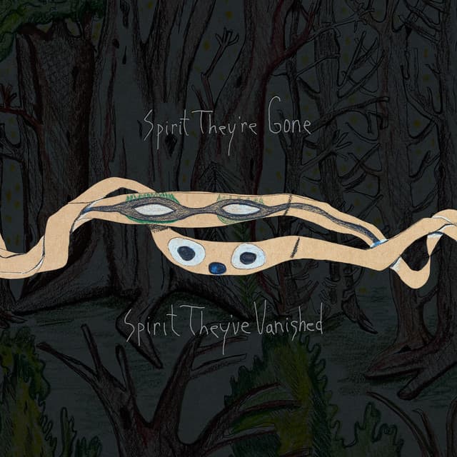 Release Cover Animal Collective - Spirit They're Gone, Spirit They've Vanished (Remastered 2023)