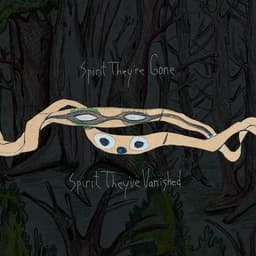 Release Cover Animal Collective - Spirit They're Gone, Spirit They've Vanished (Remastered 2023)
