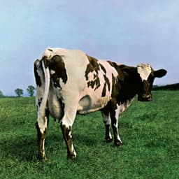 Release Cover Pink Floyd - Atom Heart Mother