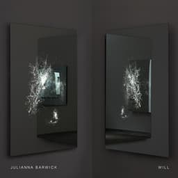 Release Cover Julianna Barwick - Will