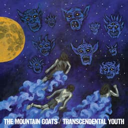Release Cover The Mountain Goats - Transcendental Youth