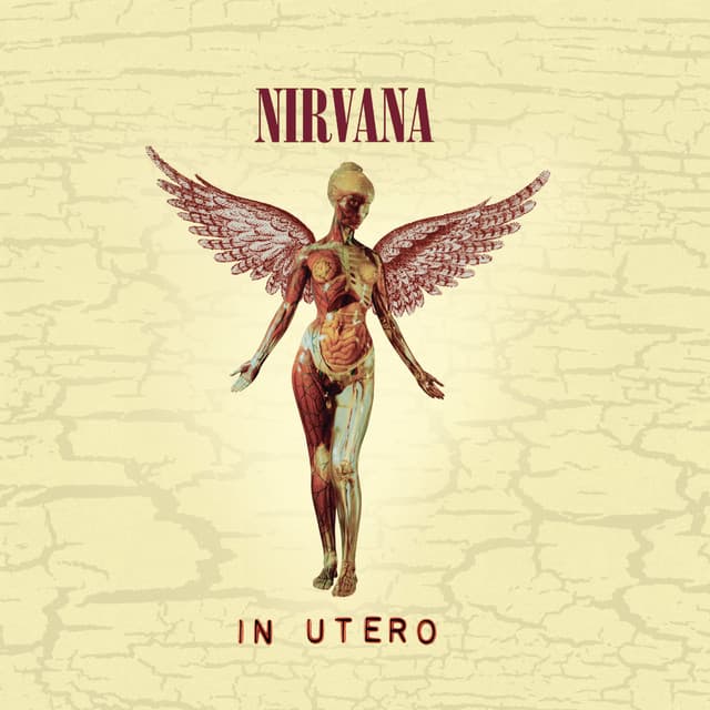 Release Cover Nirvana - In Utero